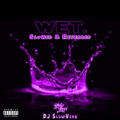 Wet (She Got That…) [Slowed & Reverbed] artwork