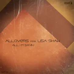 All I'm Sayin' (feat. Lisa Shaw) [Spiritual Blessings Remix] Song Lyrics