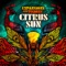 Thinking of You (feat. Debórah Bond & Bluey) - Citrus Sun lyrics