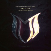 Only You (Extended Mix) [feat. Claire Willis] artwork