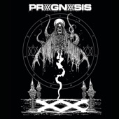 Prognosis - Into the Grey