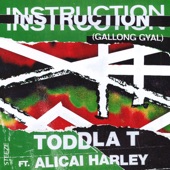 Instruction (Gallong Gyal) [feat. Alicai Harley] artwork