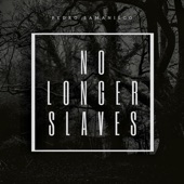 No Longer Slaves artwork