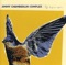 Loki Cat - Jimmy Chamberlin Complex lyrics