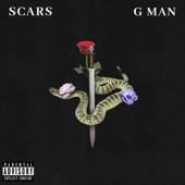 Scars artwork