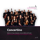 Concerto für Trompete und Streicher: 2. Allegro artwork
