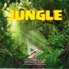 Gryfo & Toki - Jungle