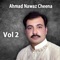 Tootaan Wafa Karein - Ahmed Nawaz Cheena lyrics