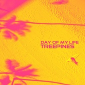 Day of My Life (Electronic Remix) artwork