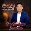 Alejandro Cruz Mx - Tus Canciones Favoritas