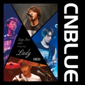 Live-2013 Zepp Tour -Lady- artwork