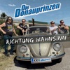 Richtung Wahnsinn - Single