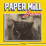 paper mill - Bruce