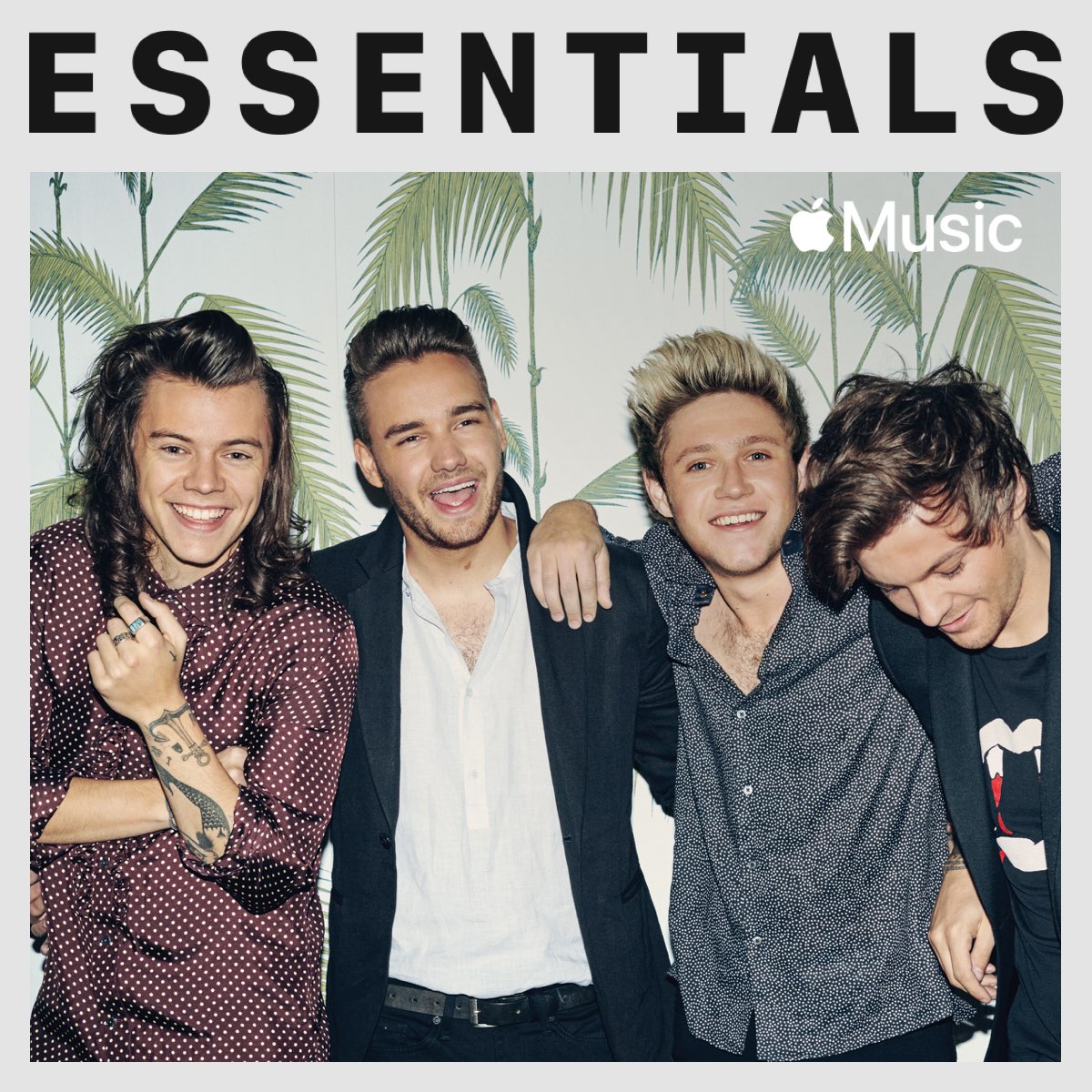 Apple Music 上的歌单 One Direction 代表作