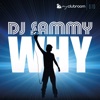 Why (Remixes)