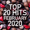 Top 20 Hits February 2020 (Instrumental)