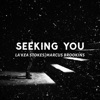 Seeking You (feat. La'Kea Stokes) - Single