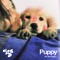 Puppy - Doss lyrics