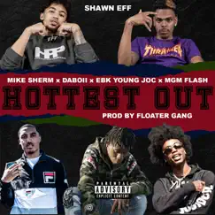 Hottest Out (feat. Mike Sherm, Daboii, EBK Young Joc & MGM Flash) - Single by Shawn Eff album reviews, ratings, credits