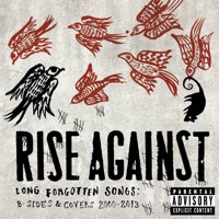 Rise Against Ablum Cover