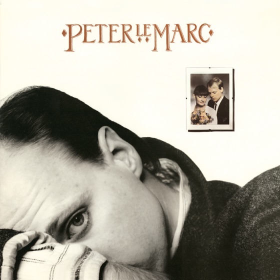 Cover artwork for Ring av silver