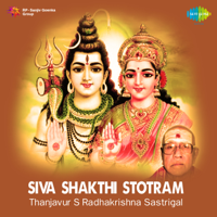 Radhakrishna Sastrigal - Siva Shakthi Stotram artwork