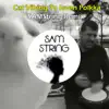 Cat Vibing To Ievan Polkka (Remix) [Remix] - Single album lyrics, reviews, download
