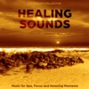 Healing Sounds: Music for Spa, Focus and Relaxing Moments