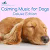 Calming Music for Dogs - Reduce Anxiety During Fireworks, Storms, Separation and Car Journeys album lyrics, reviews, download