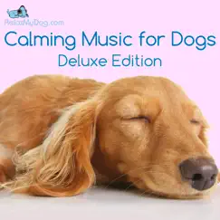 Calming Music for Dogs - Reduce Anxiety During Fireworks, Storms, Separation and Car Journeys by Relaxmydog album reviews, ratings, credits