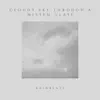 Cloudy Sky Through a Misted Glass - Single album lyrics, reviews, download