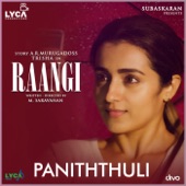 Paniththuli (From "Raangi") artwork