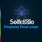 Deep Sleep Music - Solfeggio Frequencies & Chakra Healing Music lyrics