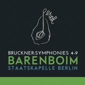 Bruckner: Symphonies 4-9 (Live) artwork