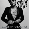 Lenny Kravitz - The Chamber artwork