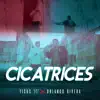 Cicatrices - Single album lyrics, reviews, download