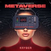 Metaverse, Volume 1 artwork