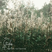 Études : Ambient Collection - EP artwork