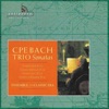 Ensemble of the Classic Era - Trio Sonata in B Minor, H. 567: 2. Adagio