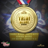 Trini Medal Riddim (Instrumental) artwork