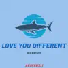 Love You Different song lyrics