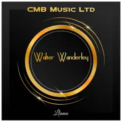 Llama - Walter Wanderley Llama - Walter Wanderley