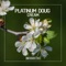Cream (Radio Mix) - Platinum Doug lyrics
