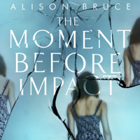 Alison Bruce - The Moment Before Impact artwork