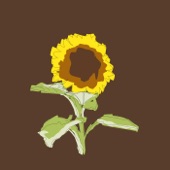 Sunflower artwork