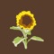 Sunflower artwork