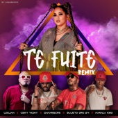 Te Fuite (Remix) artwork