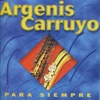 Para Siempre, 2007