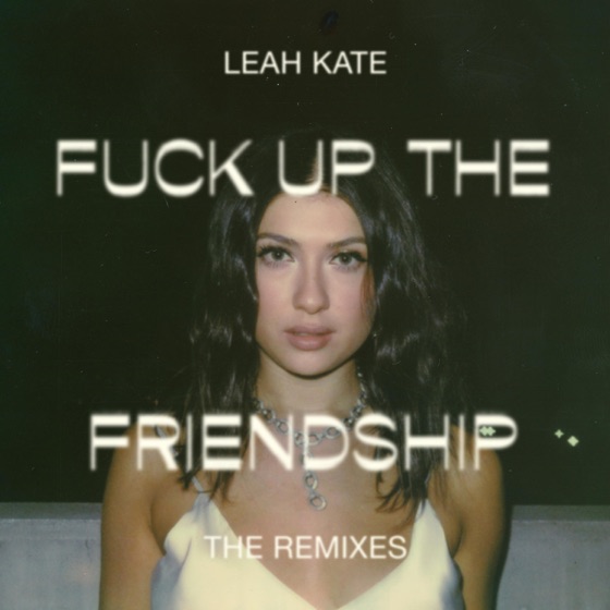 Cover artwork for Fuck Up the Friendship
