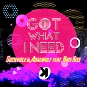 Got What I Need (feat. Kris Kiss) [Extended Mix] artwork